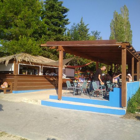Apartments Zadar Nin Anton I Martina ヴーシ 部屋 写真