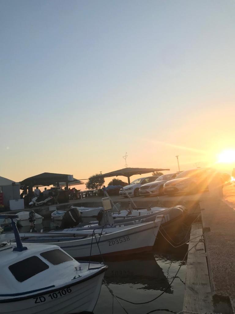 Apartments Zadar Nin Anton I Martina ヴーシ 部屋 写真